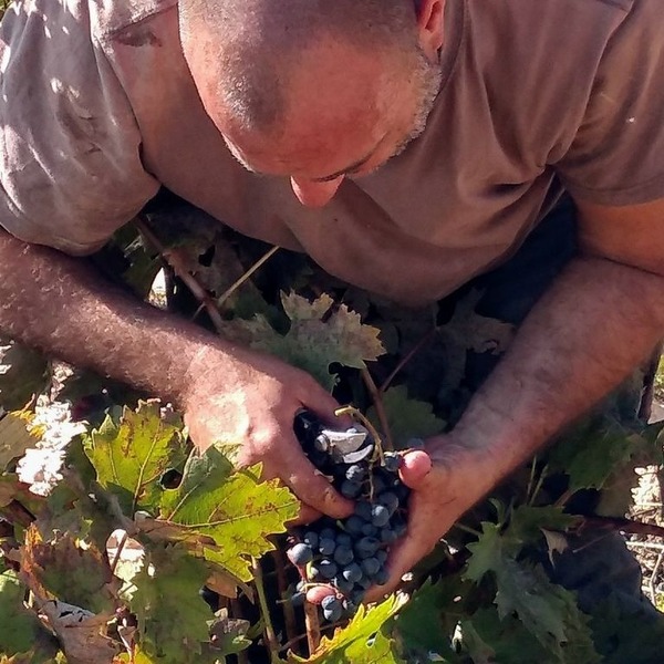 plp_product_/profile/jorge-granado-viticultor?currency=EUR