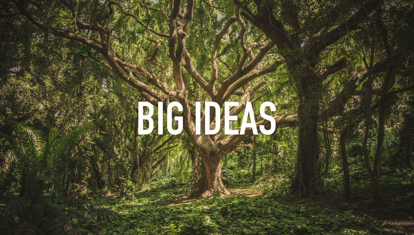 Big Ideas