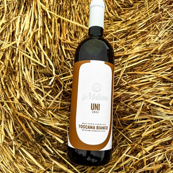 plp_product_/wine/fattoria-la-maliosa-la-maliosa-uni-2023?currency=EUR