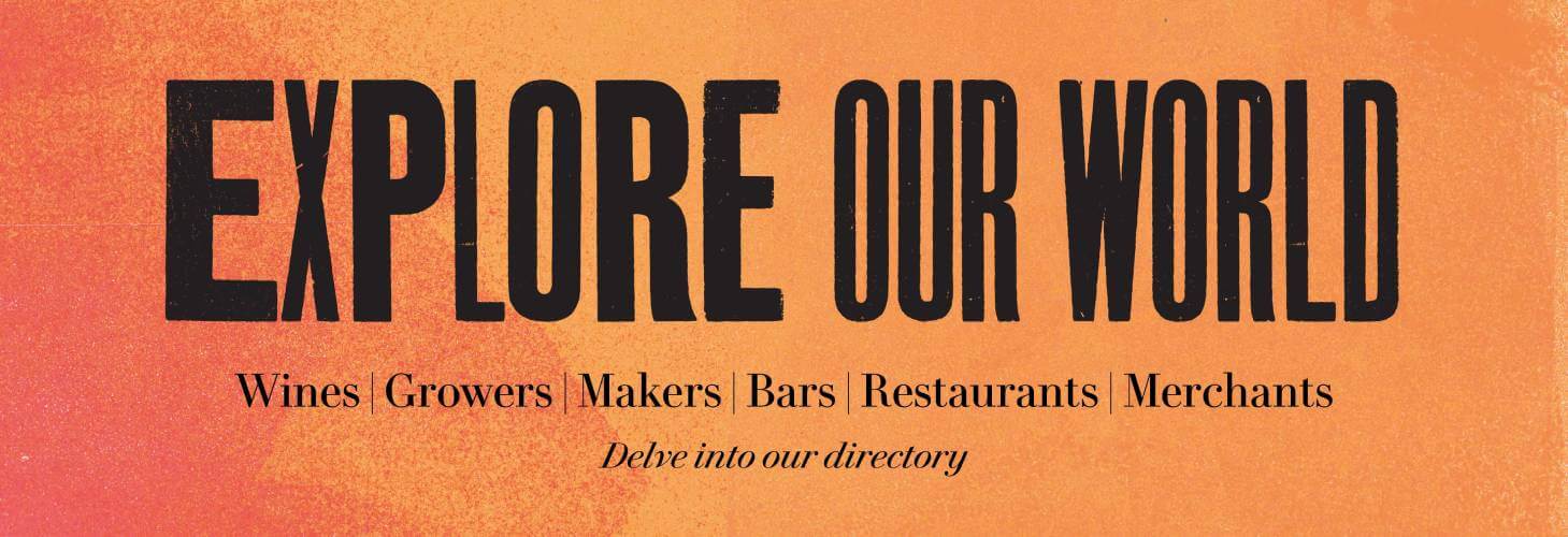 large_promo_banner