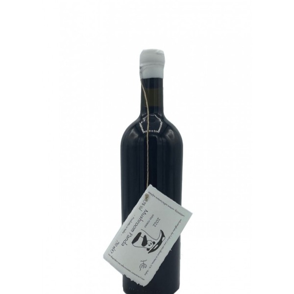 plp_product_/wine/fabio-gea-la-msoira-e-l-rastel-mushroom-panda-vino-rosso-2022?currency=EUR