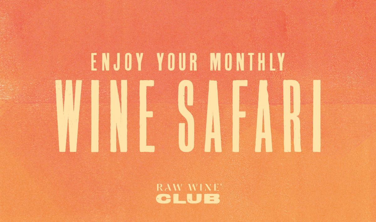 RAW WINE Club - Tasting Notes - October 2023 Selection