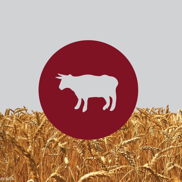 plp_product_/wine/meinklang-stillwater-x-meinklang-spelt-farmhouse?currency=USD
