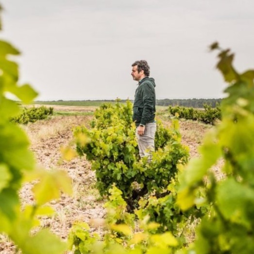 plp_product_/profile/vinos-malandrin?currency=EUR