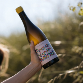 plp_product_/wine/schodl-family-free-your-mind-2021