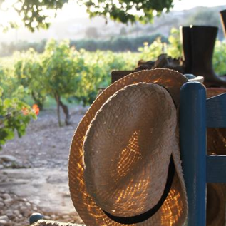plp_product_/profile/dimitris-farm-and-vineyard?currency=EUR