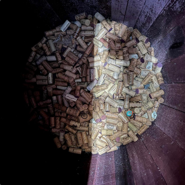 plp_product_/profile/vitis-vin?currency=EUR